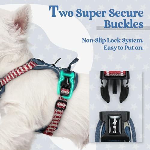 Image of rabbitgoo Dog Harness No Pull with 2 Leash Clips, Adjustable Soft Padded, Reflective Oxford No Choke Pet Vest with Easy Control Handle for Large Dogs, Blue Star, XS