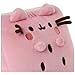 GUND Pusheen Watermelon Plush, Cat Stuffed Animal for Ages 8 and Up, Pink/Green, 6”
