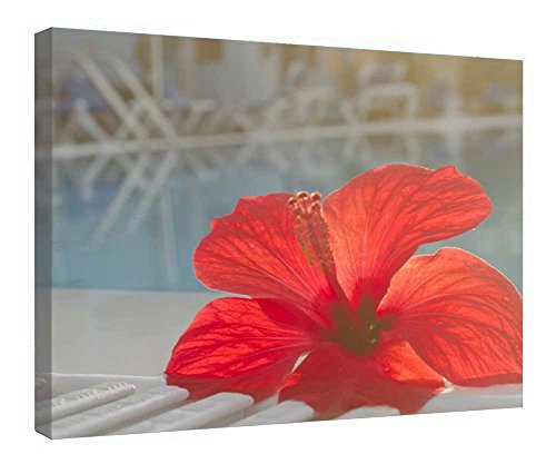 Toile hibiscus rouge tableau encadré prêt à suspendre pour habiller un mur vide