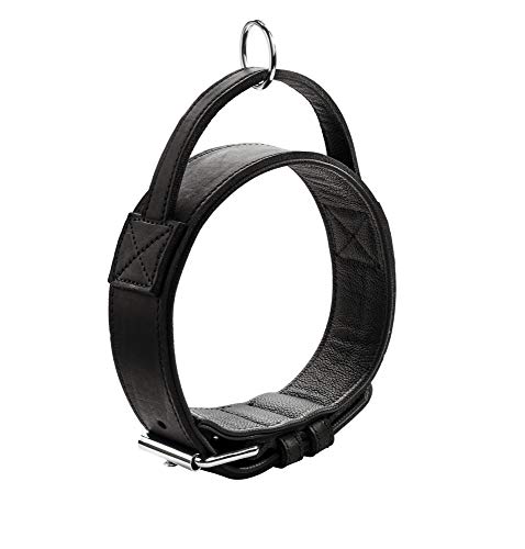 HUNTER Trainingshalsband mit Griff Larvik M-L (60), Schwarz