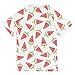 CaTaKu Cute Watermelon Ice Cream Boys Rash Guard Swim Shirts Toddler Quick Dry UPF 50+ Rashguard Short Sleeve 3t