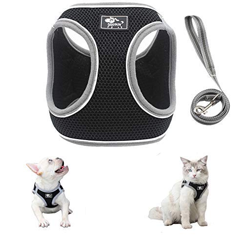 FEimaX Dog Harness, No Pull Pet Harnesses for Small Dog/Cat, Adjustable Reflective Breathable Soft Mesh Padded Step-in Vest and Lead Set, Puppy Kitten for Outdoor Walking Escape Proof