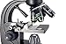Celestron – PentaView LCD Digital Microscope– Biological Microscope with a Built-in 5MP Digital Camera – Adjustable Mechanical Stage –Carrying Case and 4GB Micro SD Card