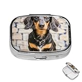 Pillendose, 2 Fächer, Medikamentendose für Tasche oder Geldbörse, Mini-Pillenhalter, langhaariger Dackel, Pillen-Organizer, tragbarer Reise-Medizin-Behälter für Nahrungsergänzungsmittel und Vitamine