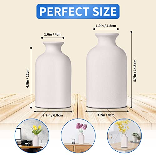 White Ceramic Vases For Decor Set Of 2, Dried Flower Vase For Living Room, Table, Modern Farmhouse, Ideal Shelf, Bookshelf, Mantle And Pampas Grass In Home And Office Decoration #TOP3