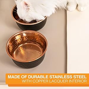 Neater Pet Brands Hammered Decorative Designer Bowls – Luxury Style Premium Dog and Cat Dishes (Large, Black Copper)
