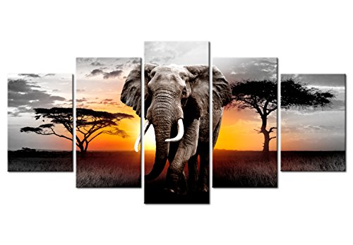 murando Schilderij op vlies canvas Afrika 200x100 cm XXL Print Wandschilderij 5 delen Foto Grafiek Fotografie Wanddecor - Landschap Dieren Olifant g-C-0054-b-o - Afbeelding 5