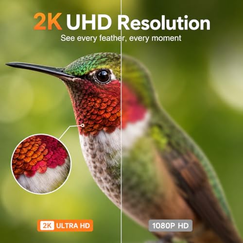 Smart Bird Feeder Camera Solar Powered
