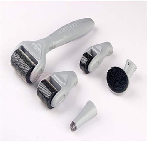 6 in 1 Micronadeln Derma Roller Edelstahl Micronadeln für Anti Falten, mehr als 540 Arten von Mikronadel-Walzen für die Hautregeneration Anti-Aging Mikronadel Derma Roller,Grau