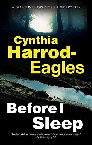 Before I Sleep (A Bill Slider Mystery Book 24)