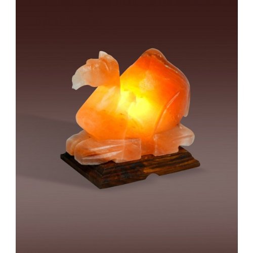 Evolution Himalayan Crystal Salt Lamp, Camel Shape (4-6 lbs)