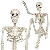 2PCS 3FT Halloween Skeleton Decorations, 36' Full Body Posable Skeleton, Plastic Realistic Human Bones Prop for Party, Yard Lawn Haunted House Indoor Outdoor Decoration