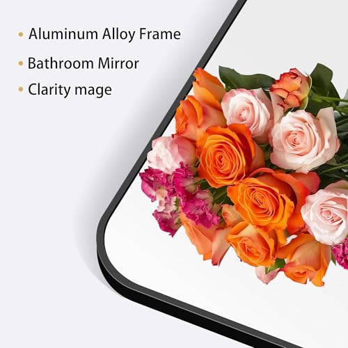 Image of DESBING 24 inch x 55 inchBathroom Mirror, Matte Black Wall Mirror with Metal Frame, Decorative Rectangular Vanity Mirror for Bedroom Bathroom Living Room Entryway (Horizontal /Vertical)