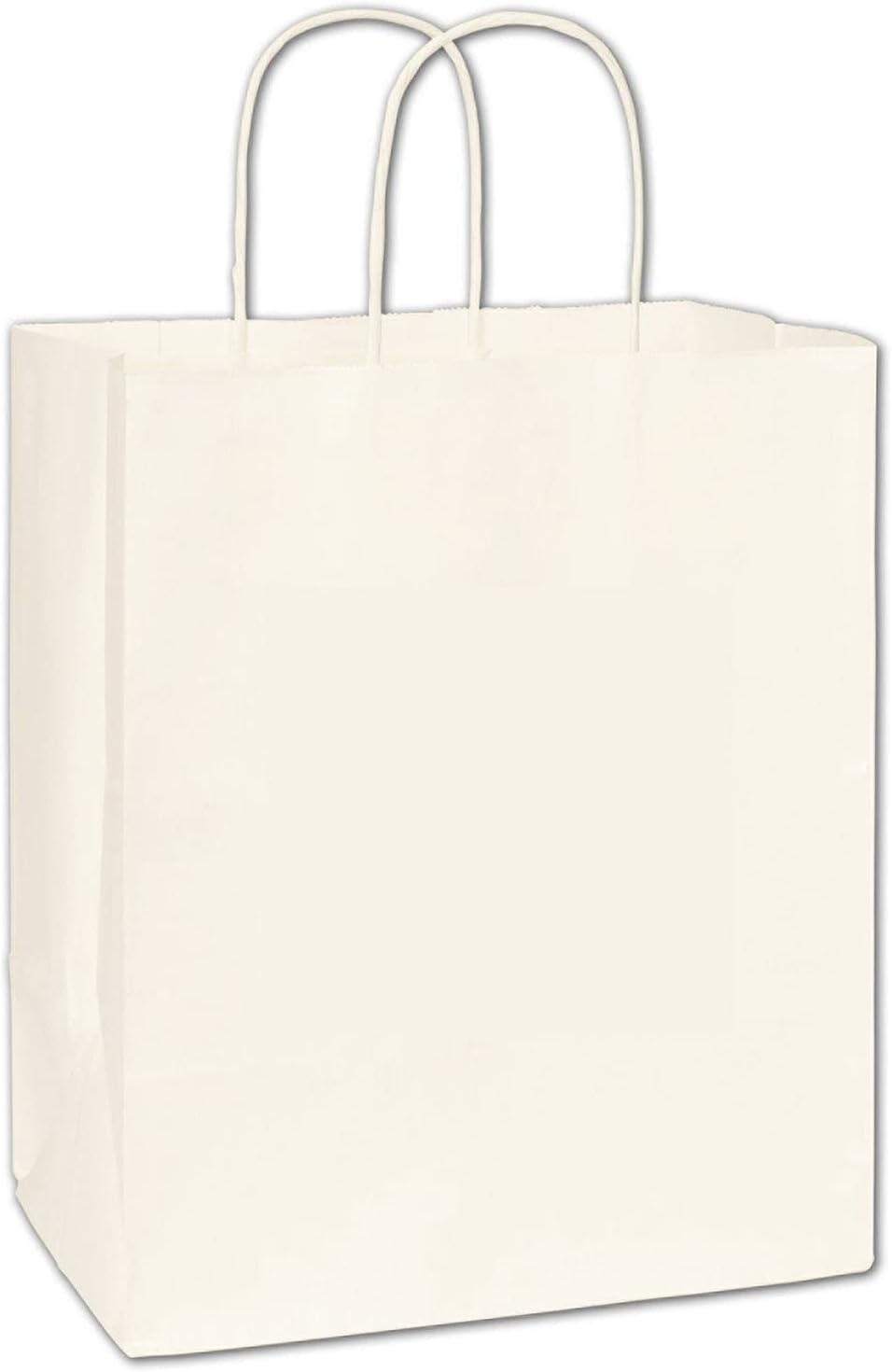 EGPChecks White Paper Shoppers Bistro, 250 Bags, 10 x 6.75 x 12