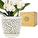Mama Cozy Life Elegant Orchid Pot with Holes, Large 6.5 inch Premium Porcelain Ceramic Orchid Pot for Repotting, Durable Ceramic Planter with Removable Saucer for Easy Drain, Planter Gifts for Moms