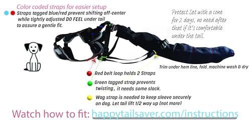 Image of Tail Guard & Harness Set - Veterinary Dog Tail Protector & Injury Wrap, Size XS
