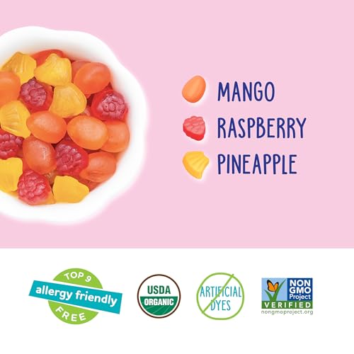 YumEarth Organic Tropical Fruit Snacks (Pack of 35) - 0.7 Ounce Snacks Packs - Non GMO, Gluten Free, Vegan, Dye Free - Pineapple, Raspberry, Mango