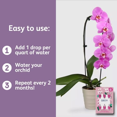 Chrysal Orchid Food Drops 2 Pack para Orquideas miniatura 6