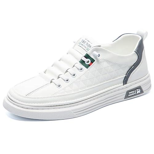 TERBOFIN Men's Fashion Casual Slip On Sneakers Skate Shoes Comfort Low Top Flat Driving Walking Shoes for Men