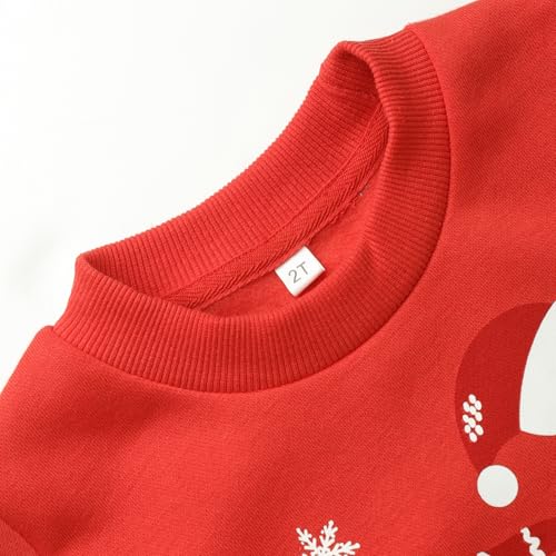 Image of Akyzic Toddler Boys Sweatshirts Cotton Crewneck Truck Shirt Dinosaur Long Sleeve Pullover Tops Tees 2-8T