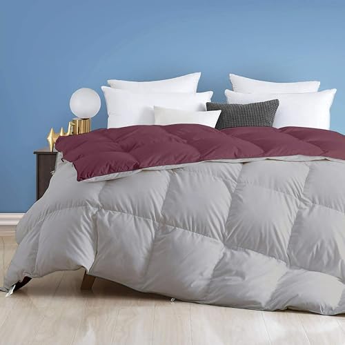 Image of Day Care - 500 GSM Hotel Quality-Down Alternative Reversible Comforter (90 inch x 100 inch Inches /228cm x 228cm) - Comforter Double Bed|Wine /Silver