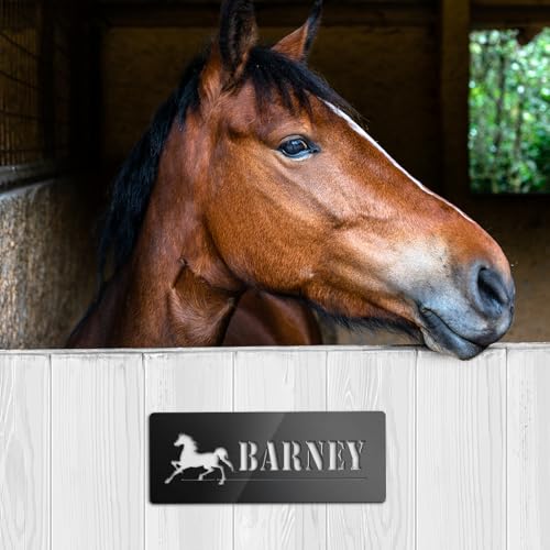 Kavitode Horse Stall Name Plate Metal - 10'' x 3.8'' Personalized Horse Name Sign Plaque for Barn,Stall,Stable Outside - Custom Pet Name Sign,Black Rust-Free Clear Visibility (Style 8)