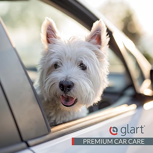 Glart 45THB Premium Hundebürste Tierhaarbürste, entfernt Tierhaare und Schmutz von allen Auto Sitzen, Polstern, Teppichen, Anthrazit/schwarz