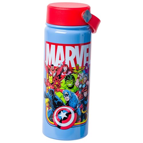 Image of Silver Buffalo Marvel Avengers, Stainless Steel Water Bottle, 20oz | Captain America, Hulk, Thor, Iron Man, Black Widow, Hawkeye, Vision, Falcon, Scarlet Witch, Swivel, Handle, Black Panther
