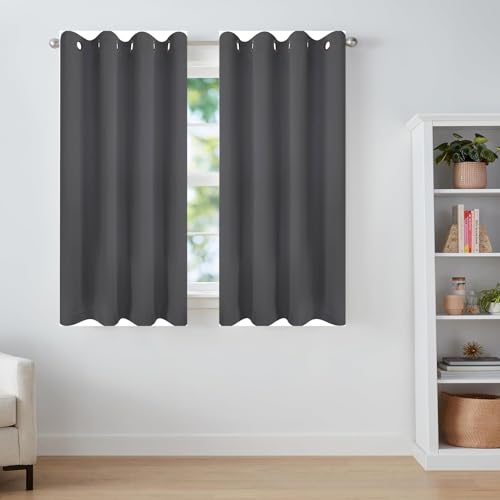 LIJIAO Lot de 2 Rideaux Occultants 80 x 80 cm Isolant Anti Froid 100% Lumiere Bloquer Anti Chaleur Rideau Exterieur Impermeable Design Moderne à Oeillets pour...