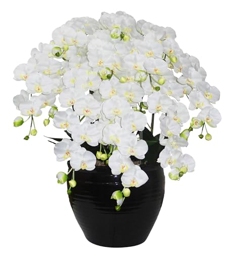  Ӓ u^E[WTCY/A vG}(C) V{EA[gt@m (i`ӒL-10{FzCg/bv)