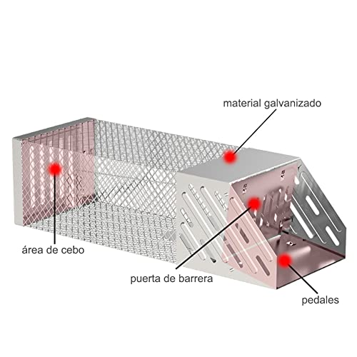 Encuentra reviews de Mate para Interior Oficina tabla con los diez mejores. 6 Imagen adicional