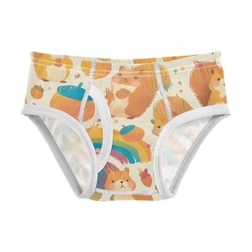 visesunny Boys Cotton Underwear Squirrel Pinecone Childish Printed Toddler Soft Training Briefs Size 2T-8Y for Kids