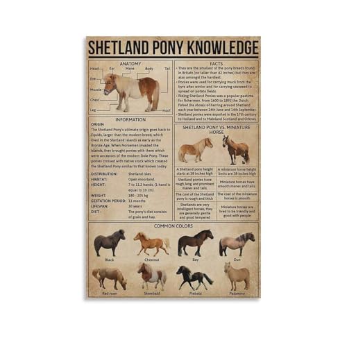 Pony Knowledge Poster Vintage Modern Wall Prints Abstract Geometric Minimalist Art Framed Canvas Prints For Office Bedroom Wall Decor 20x30inch(50x75cm)