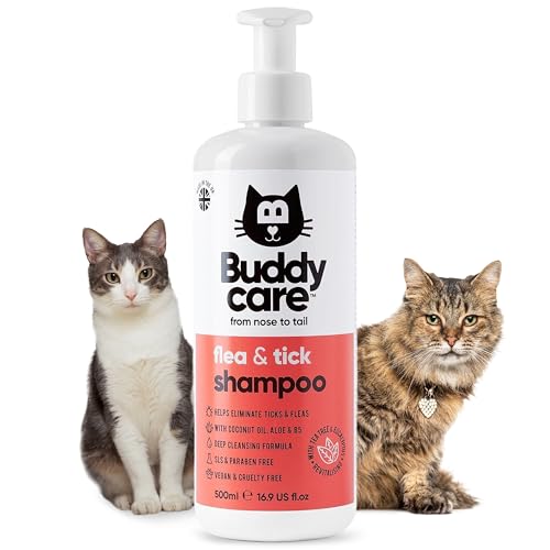 Champu Gatos Esfinge Marca Buddycare