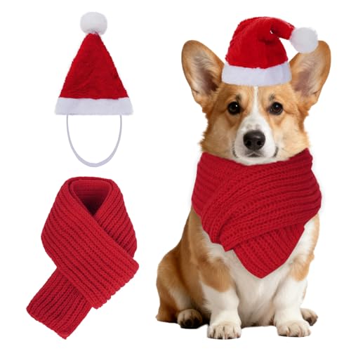 Nydotd  NX}X T^ Xq XJ[t ybg NX}X RX`[ ߑ Zbg zf[ p[eB[ hXAbv pi ~ Xq lbNEH[}[ MTCY ~ ^