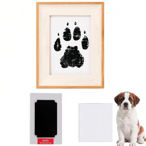 Lifetips ZgEo[i[hiSaint Bernardj ybgp  X^v Lbg ^  ``X^v `쐬Lbg LO  Ȃ `    ` ^ ȒP S y Ճpbh IWi v