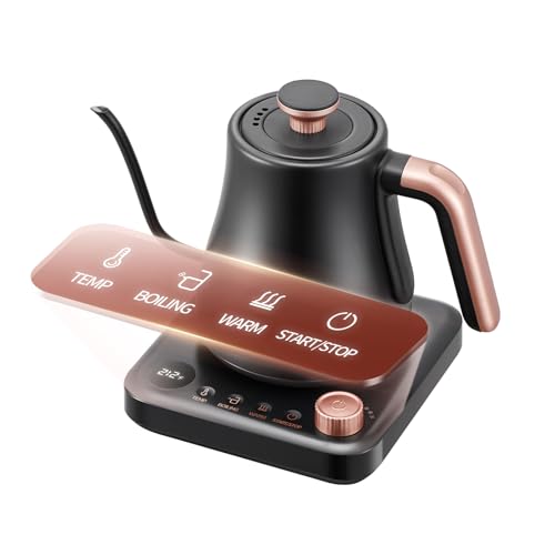 OLEGA Gooseneck Electric Kettle with Temp Control