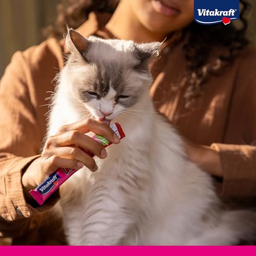 Vitakraft Liquid Snack, Katzen Leckerli, Katzensnack cremig, mit Lachs und Omega 3 Fettsäuren, in einzelnen Sachets, für gesunde Haut (1 Paket mit 6x 15g)
