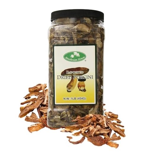Extra Grade AA Dried Porcini Mushrooms