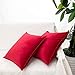 LDRHUY Decorative Housse de Coussin en Velours, Un Pack de Deux Taie d'oreiller Carrées Style Européen, pour Salon Canapé Sofa Chambres Maison (Rouge, 40x40cm)