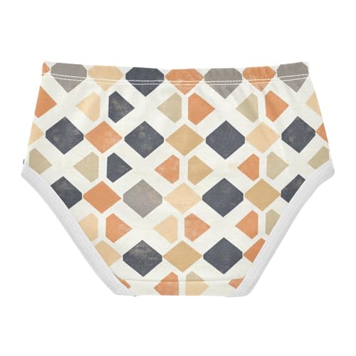 ZZKKO Abstract Orange Geometric Girls Underwear Toddler Panties for Girls Comfort Brief Size 2-8T2