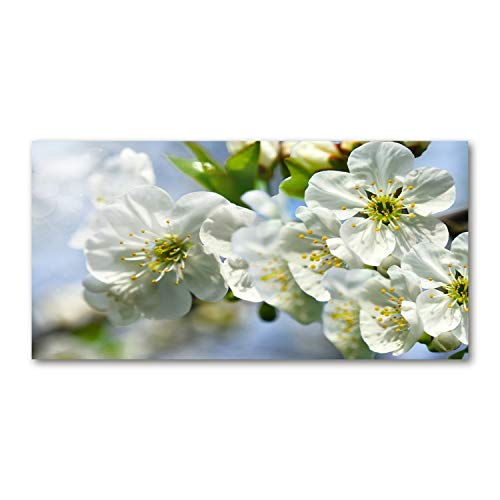 Splashback guard 100x50cm fond de hotte verre trempé fleur de cerisier blanc