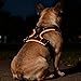 Hundegeschirr Leuchtend, LED Hundegeschirr Aufladbar mit Griff, Leuchtgeschirr LED Verstellbar, 7 Farben Leucht Brustgeschirr Anti Zug Atmungsaktivität & Komfort für Hunden 7.5-17.5kg(Schwarz, M)