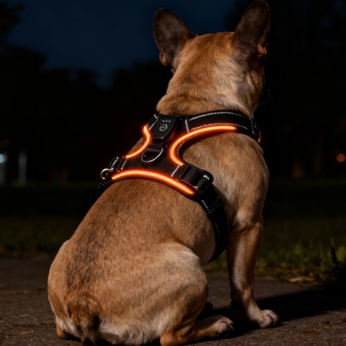 Hundegeschirr Leuchtend, LED Hundegeschirr Aufladbar mit Griff, Leuchtgeschirr LED Verstellbar, 7 Farben Leucht Brustgeschirr Anti Zug Atmungsaktivität & Komfort für Hunden 7.5-17.5kg(Schwarz, M)