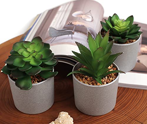 EB Designs Set of 3 Artificial Succulent Plants – Fake Greenery in Grey Pots with Pebbles – Decorative Faux Plants for Home, Office, Indoor & Outdoor Use - Cosy Home Interiors EB Designs Set of 3 Artificial Succulent Plants – Fake Greenery in Grey Pots with Pebbles – Decorative Faux Plants for Home, Office, Indoor & Outdoor Use - Image 4