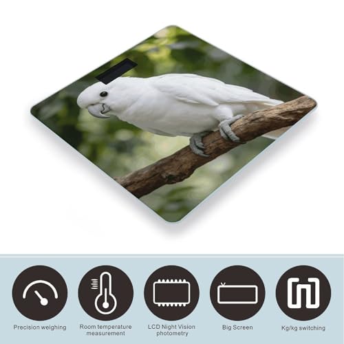 Báscula de Baño Digital White Parrot con LCD y Base Antideslizante miniatura 3
