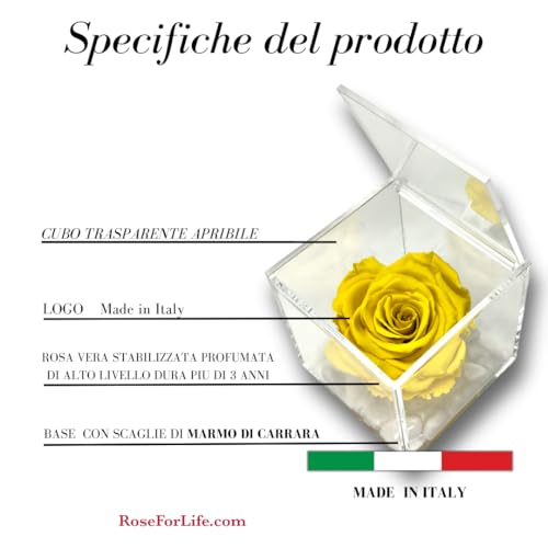 Premium-Rosenwürfel rosa stabilisiert gelb 10 cm