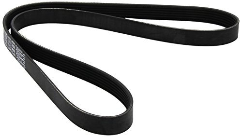 Courroie Dayco 6PK1217 évite les pannes alternateur