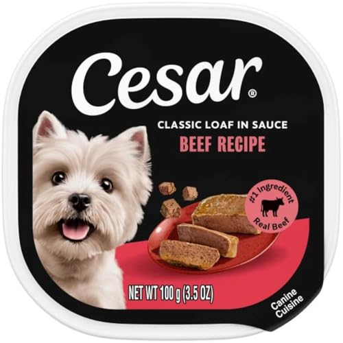 CESAR Classic Loaf in Sauce Beef Recipe Grain-Free Small Breed Adult ...