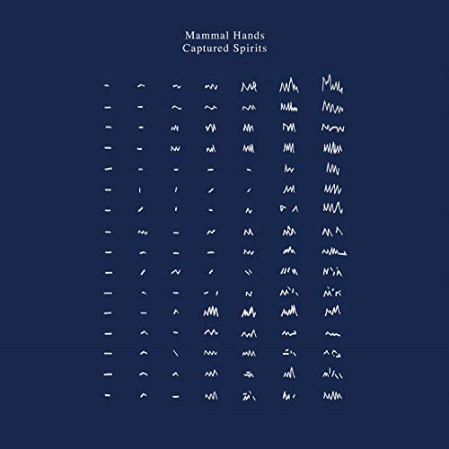 Album art for Captured Spirits by Mammal Hands